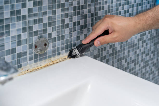 Best Water Damage Restoration  in Grass Lake, MI
