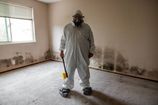 Best Mold Testing  in Grass Lake, MI